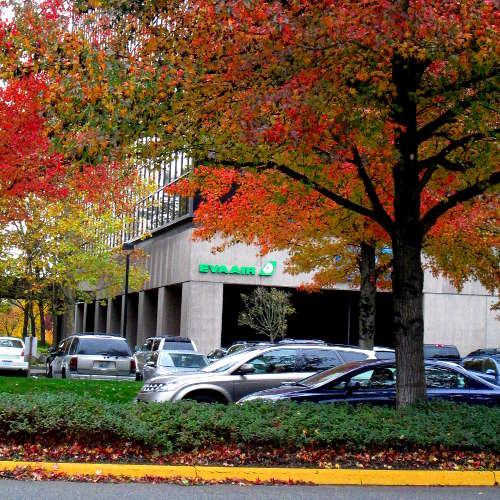 Photo o' a bank called Eva Air surrounded by orange trees.