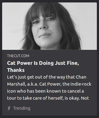 Grayscale photo o’ the face o’ some random woman. By The Cut. Let’s just get out of the way that Chan Marshall, a.k.a. Cat Power, the indie-rock icon who has been known to cancel a tour to take care of herself, is okay. Not.
