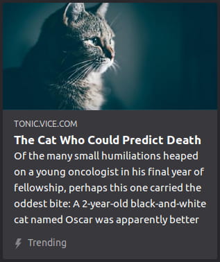 By Tonic Vice. Indescribably regal photo o’ a tabby’s face in side view taking up the left half o’ the photo, most o’ its back in dark blue shadow while its serious staring face is brightly lit. The right half o’ the photo is just blue shadowy abyss.