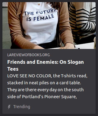 By La Review of Books. Photo is a close up o’ a woman’s chest. Her shirt has the words “The Future Is Female” on it.