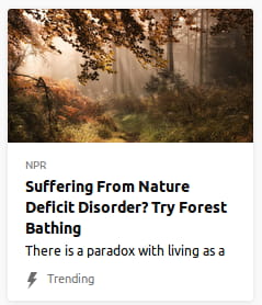 By NPR. Stock photo o’ forest.